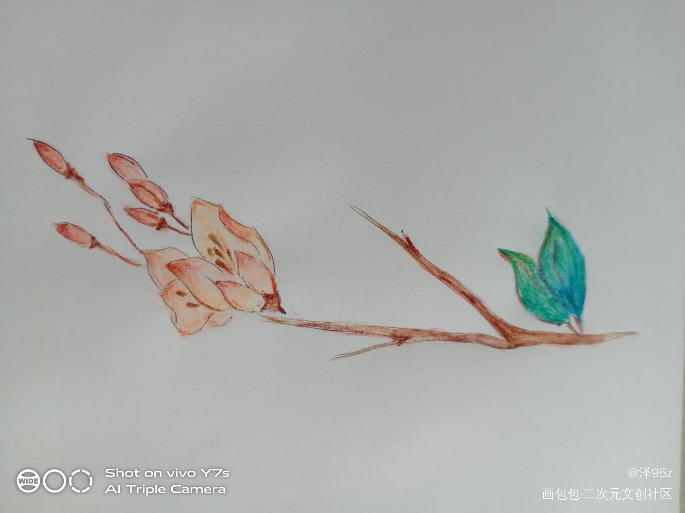 打卡打卡_彩铅桃花唤醒春日主题打卡绘画作品