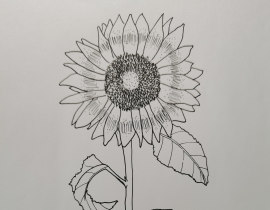 打卡4_绘画作品