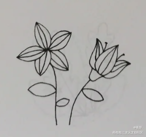 花花_手绘绘画作品