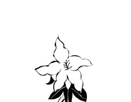 花_绘画作品