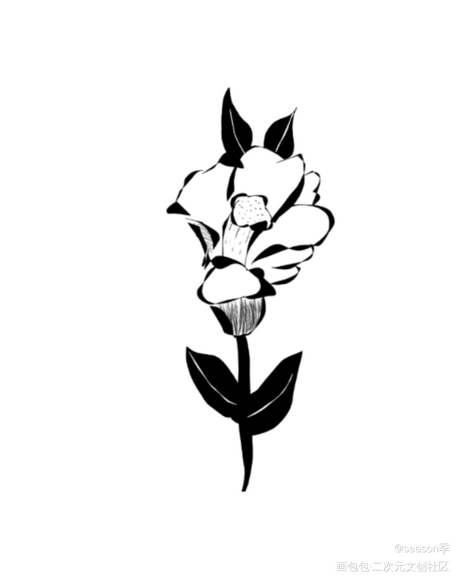 花_指绘绘画作品