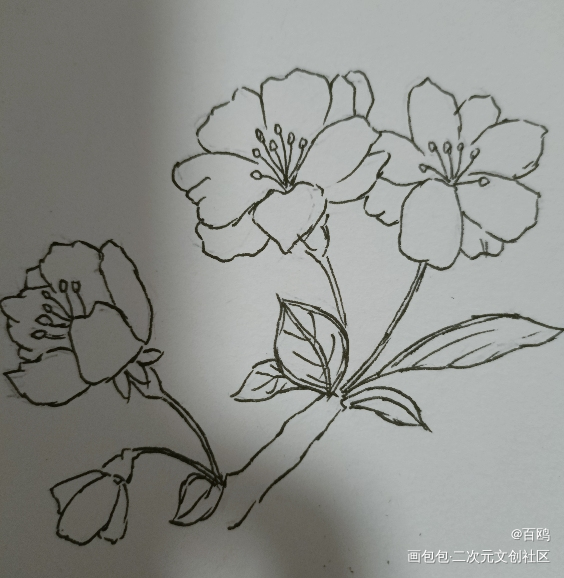 打卡_唤醒春日主题打卡绘画作品