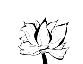 花_绘画作品