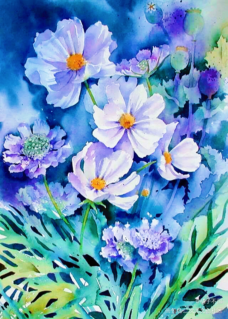 _板绘涂绘画作品