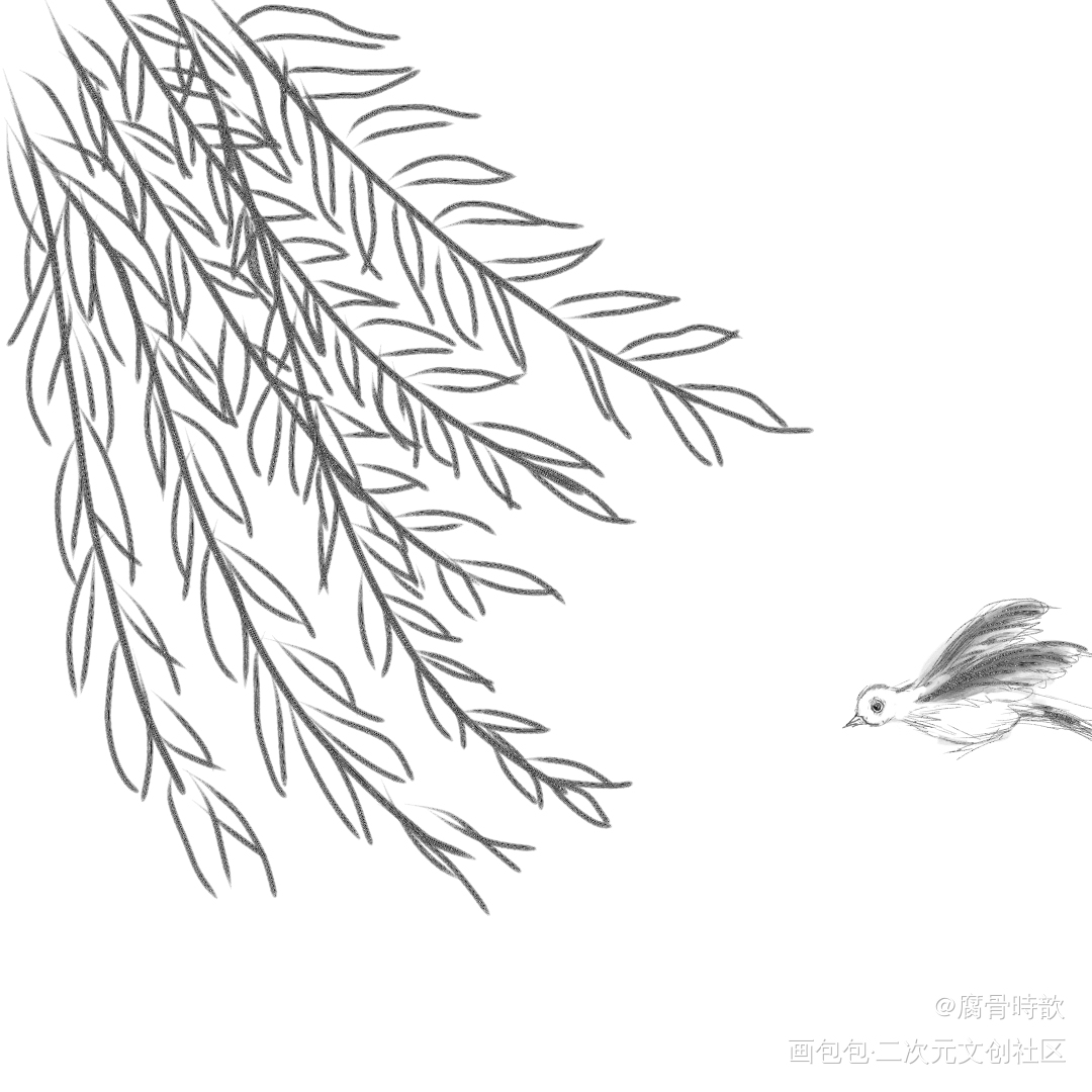 柳叶与鸟_黑白简笔绘画作品