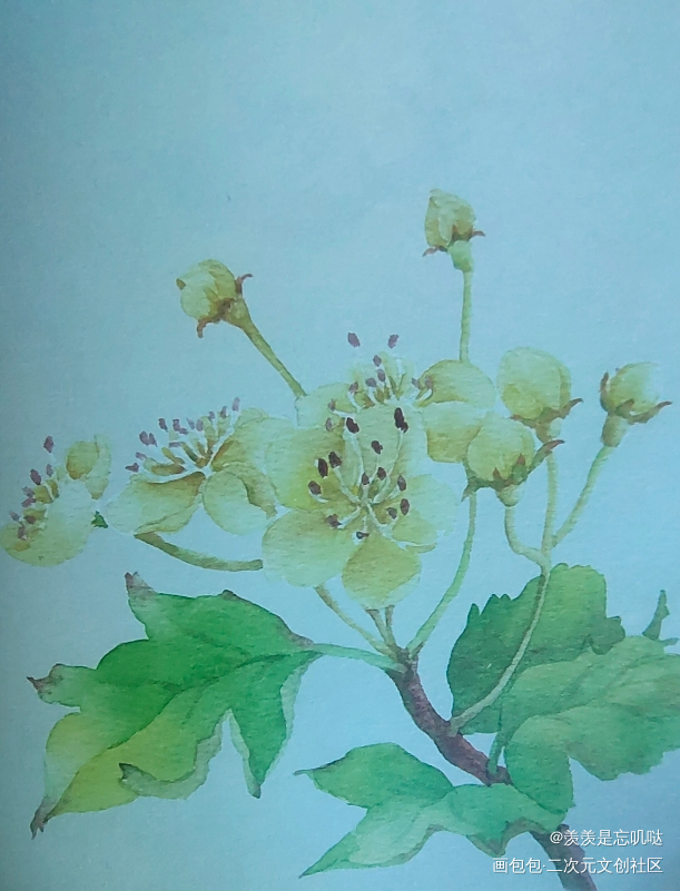 打卡13_手绘绘画作品