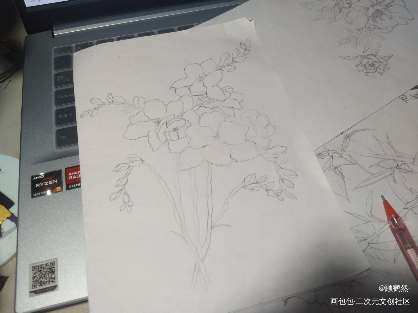 小苍兰_铅笔摸鱼页绘画作品