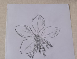 花花_绘画作品
