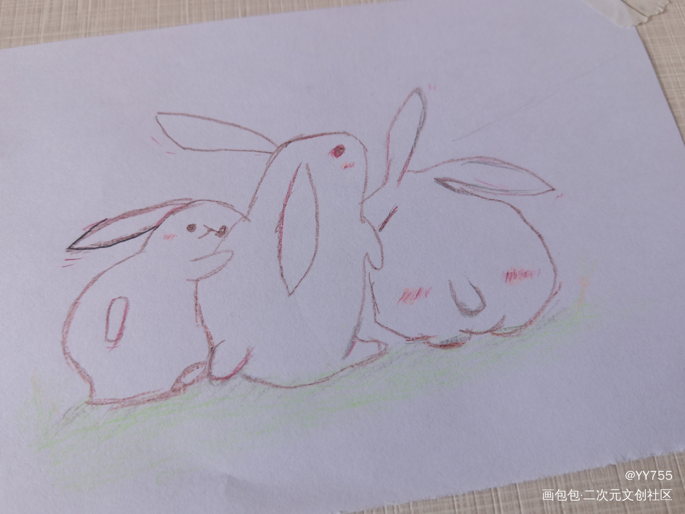 春天就该有小兔子啊_铅笔绘画作品