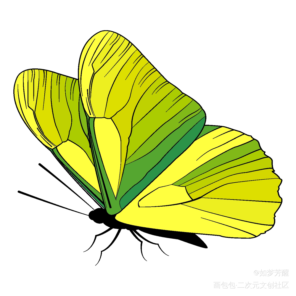 _绘画绘画作品
