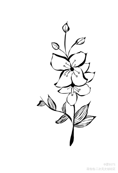 花_指绘绘画作品