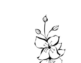 花_绘画作品