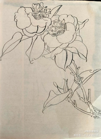 每日打卡17_水墨手绘绘画作品
