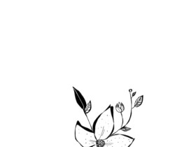 花_绘画作品