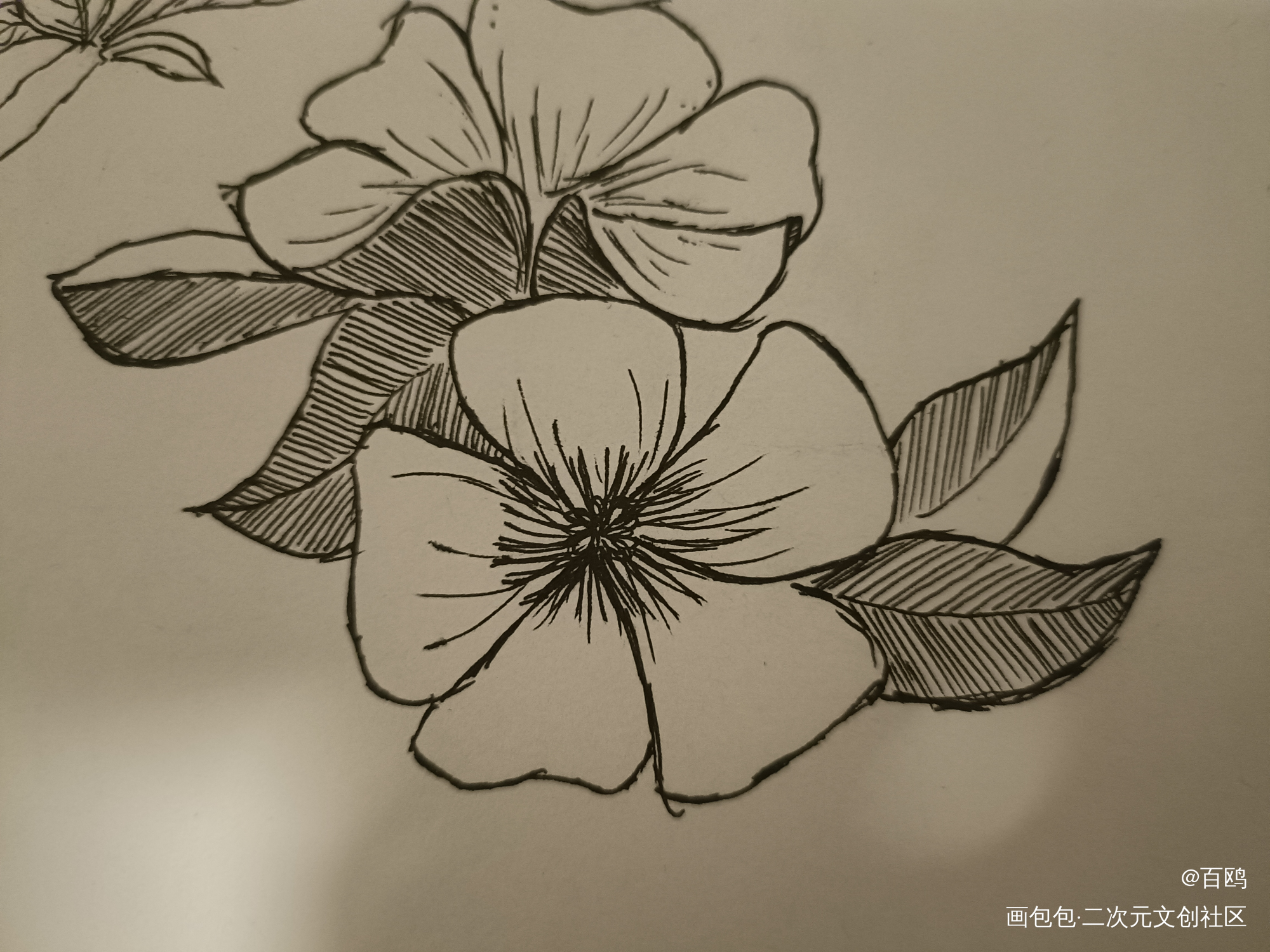 打卡_唤醒春日主题打卡绘画作品