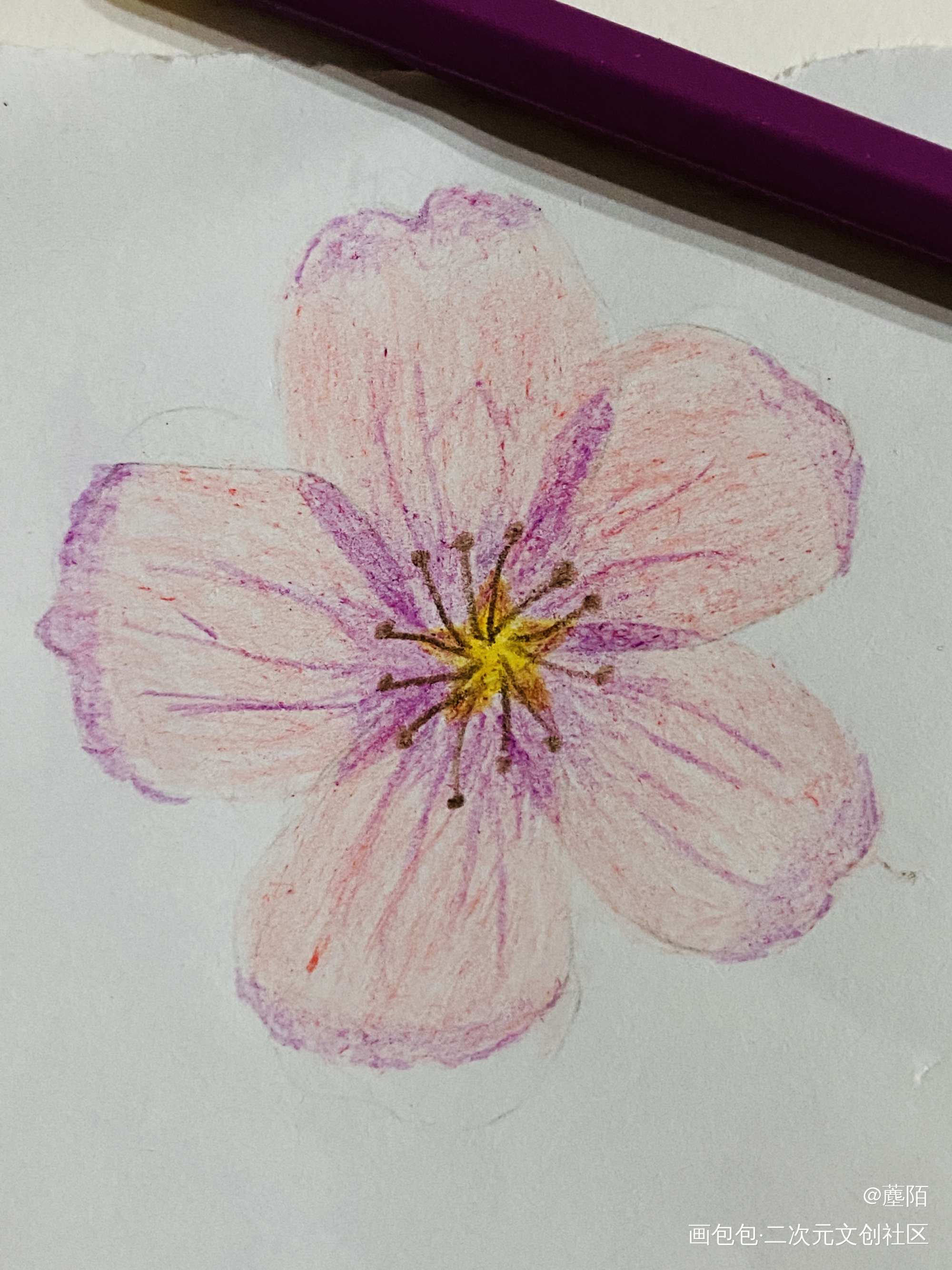 Day 3 练笔第三天_铅笔绘画作品