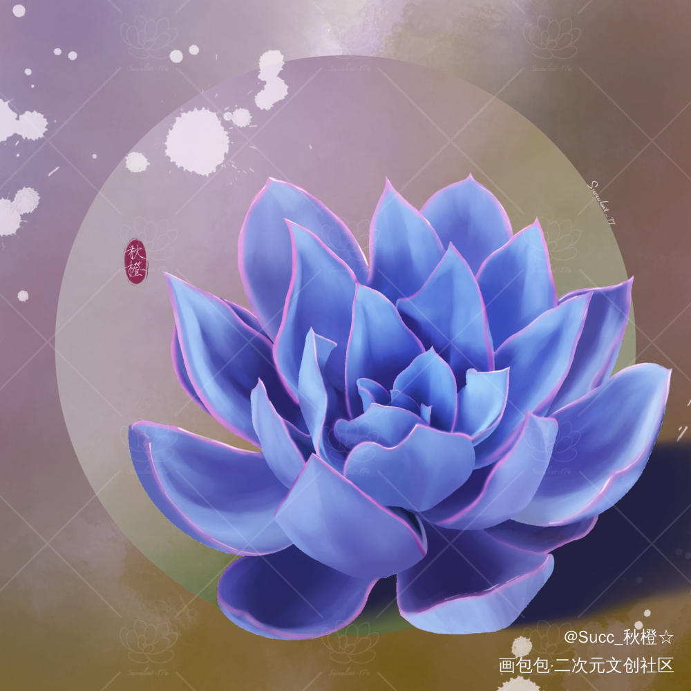 春日多肉第四弹_procreate摸鱼绘画作品