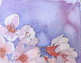 _绘画作品