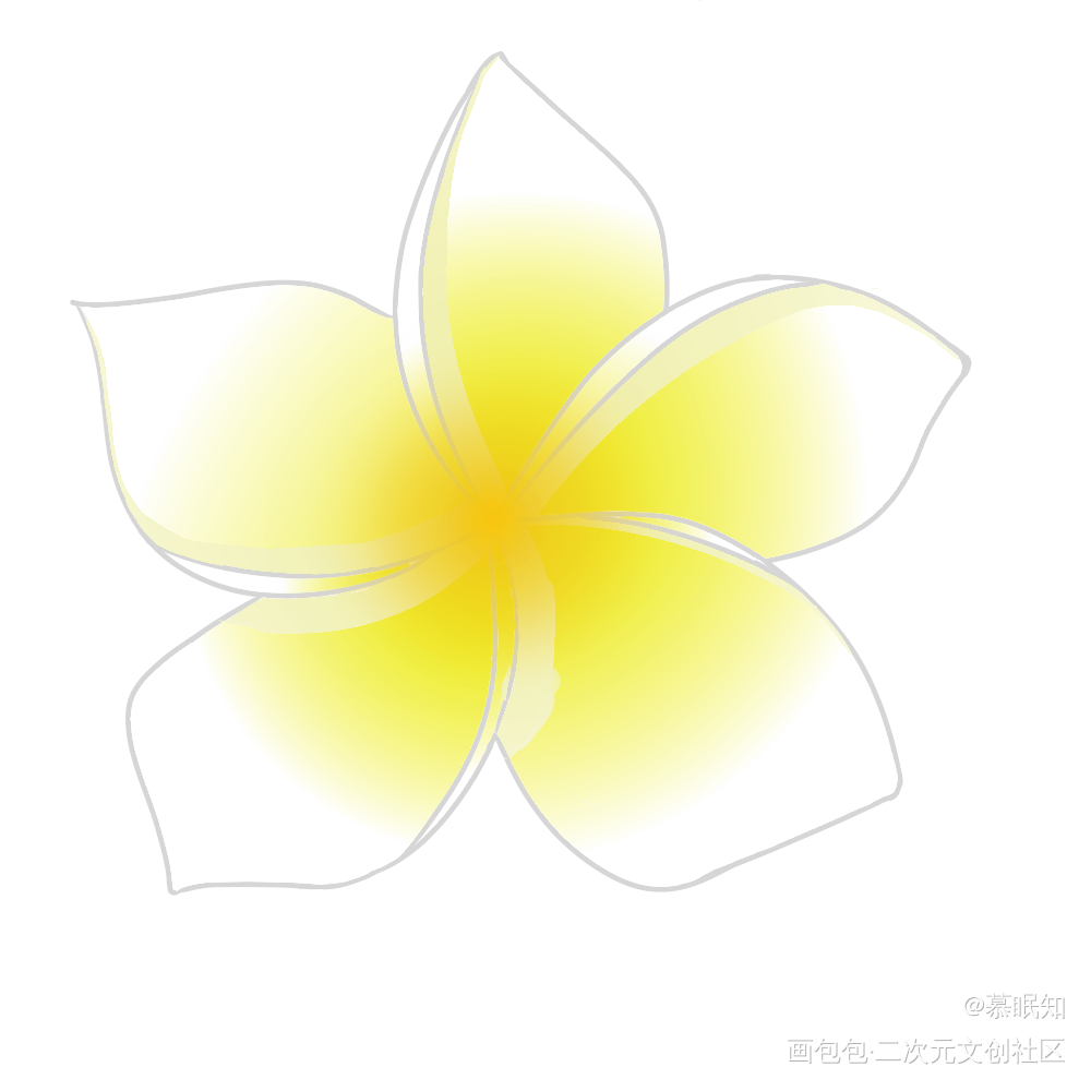 鸡蛋花_手绘绘画作品