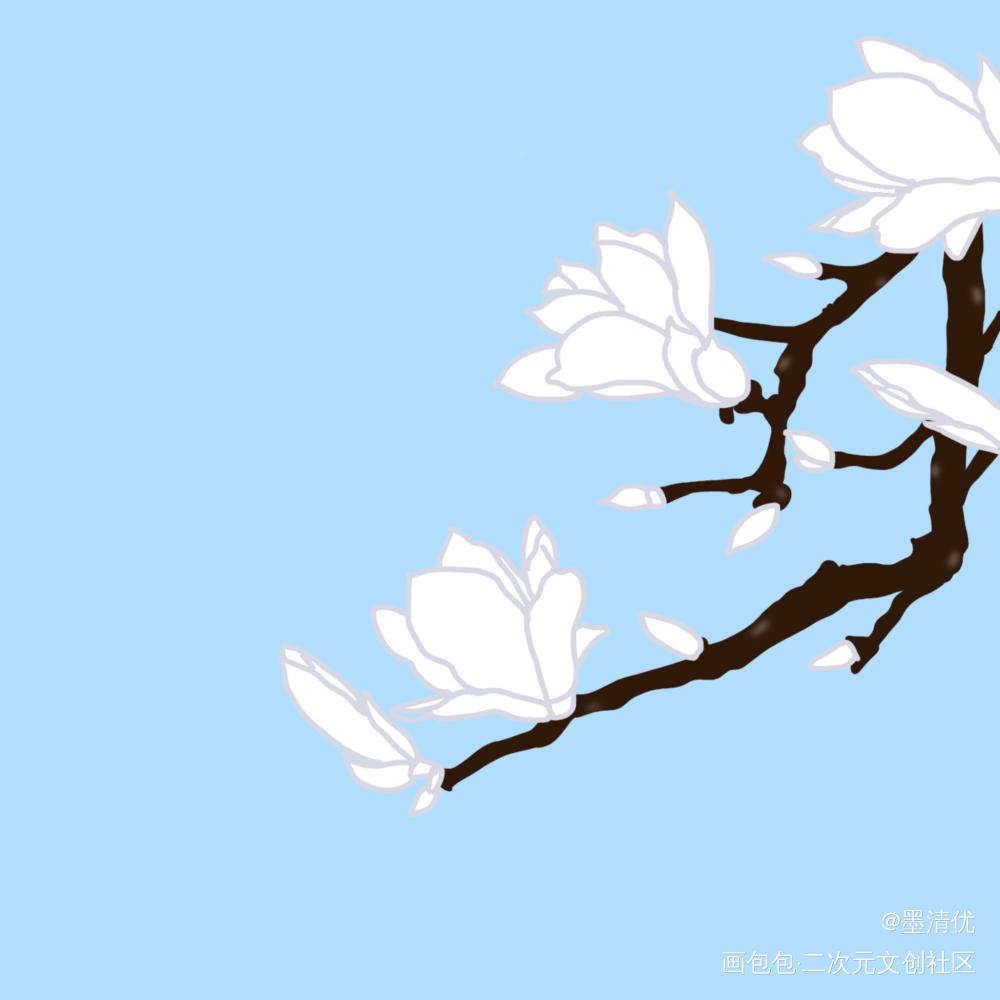 玉兰花_手绘绘画绘画作品