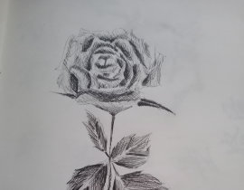 打卡第四天_绘画作品