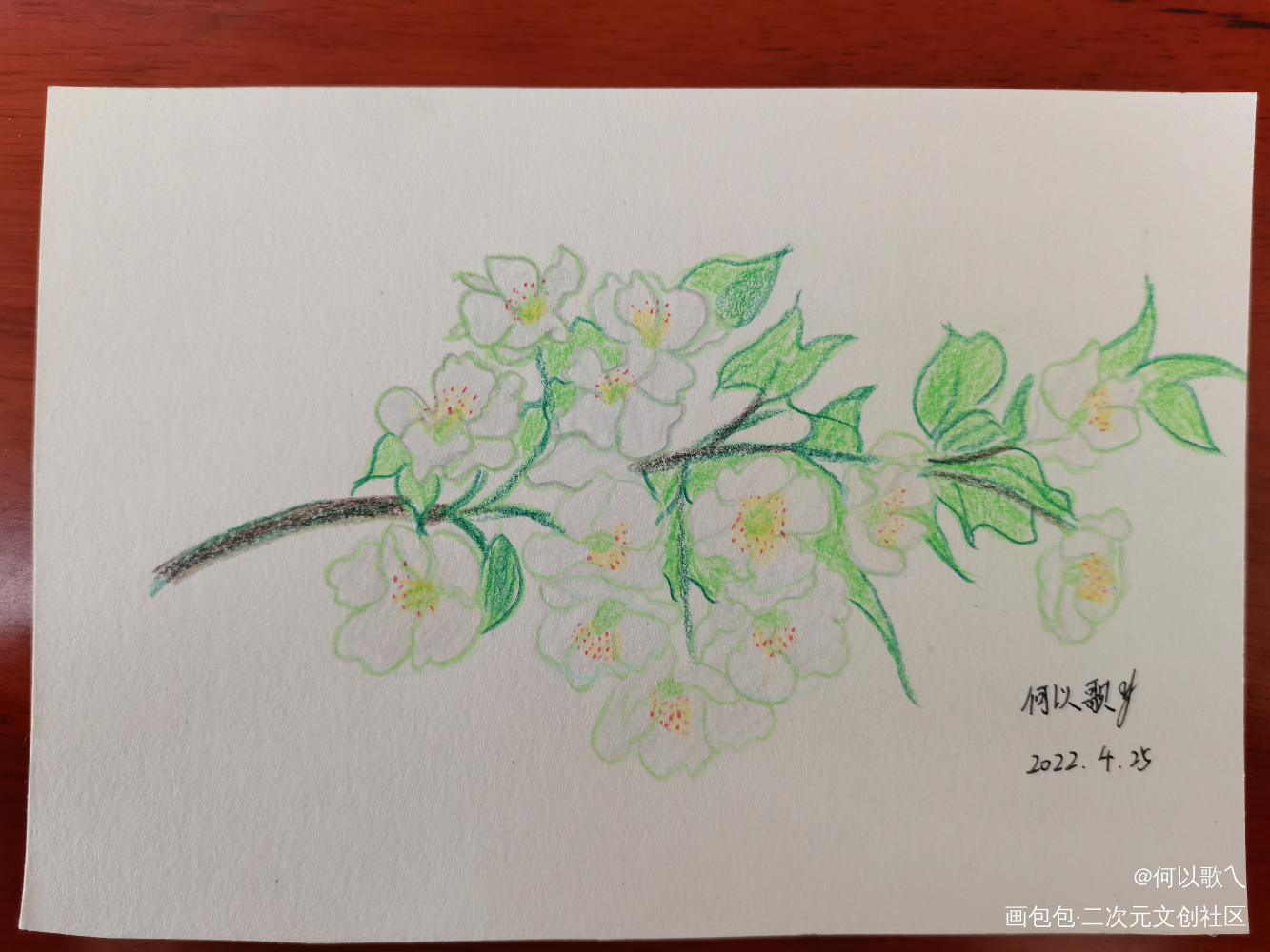 【Day 18】梨花_铅笔摸鱼页手绘绘画作品