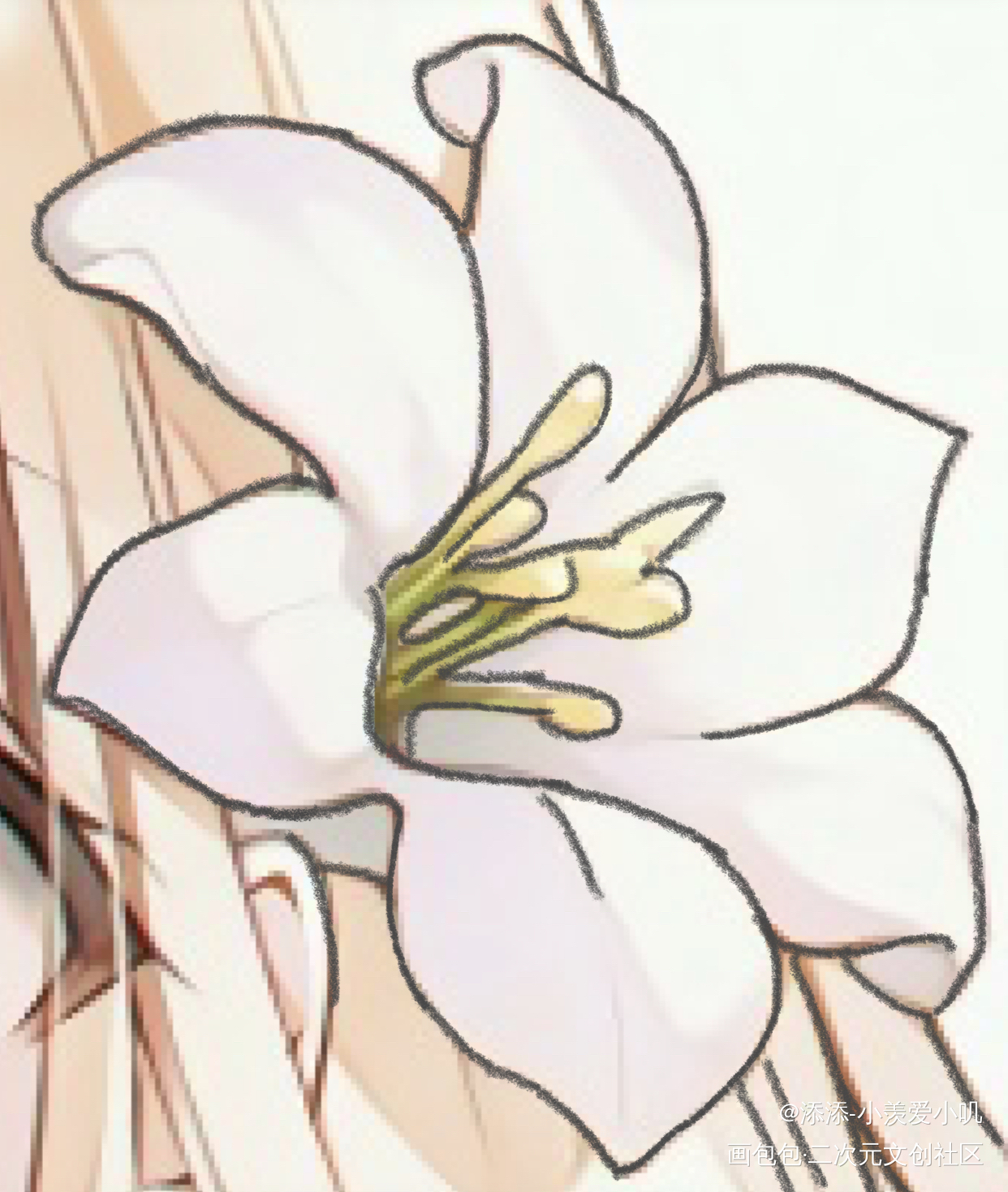 绽放的花_花画画临摹绘画作品