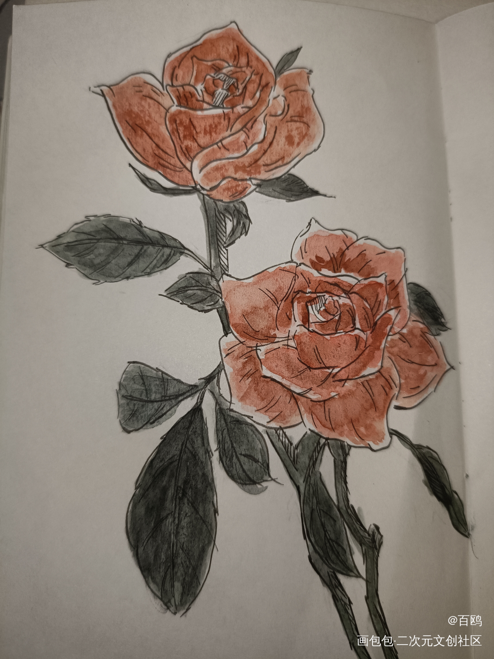 打卡_唤醒春日主题打卡绘画作品