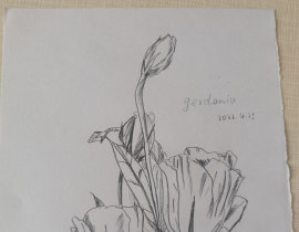 栀子花_绘画作品