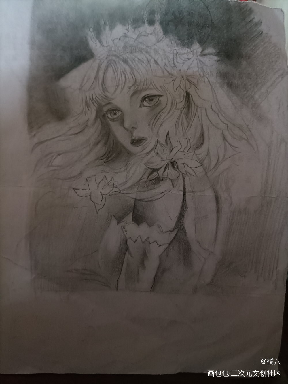 夏藤_酸梅临摹绘画作品