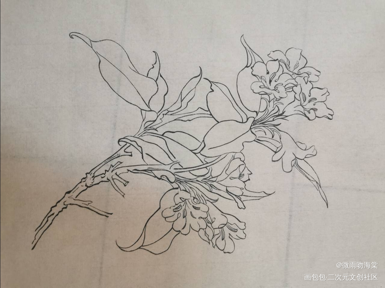 每日打卡18_水墨手绘绘画作品