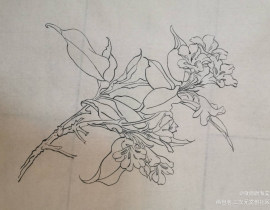 每日打卡18_绘画作品