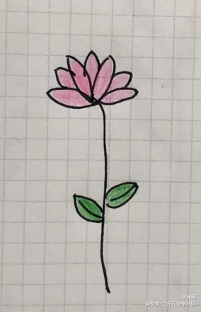 花_手绘绘画作品