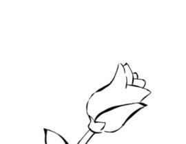 玫瑰_绘画作品