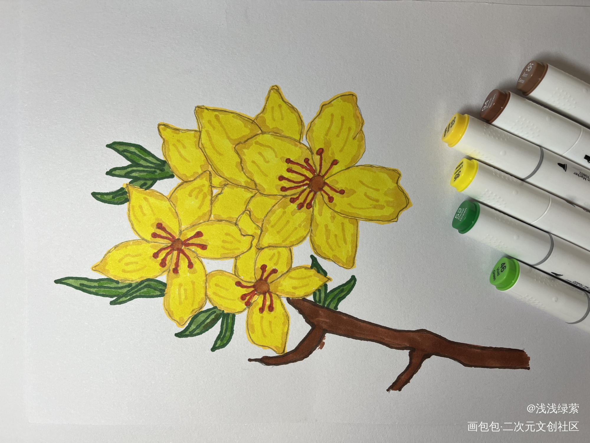 迎春_手绘绘画作品