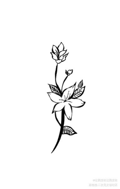 花_指绘绘画作品