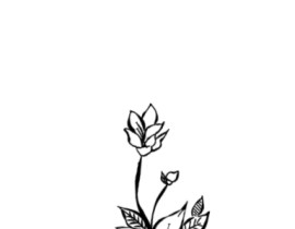 花_绘画作品