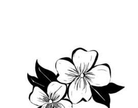 花_绘画作品
