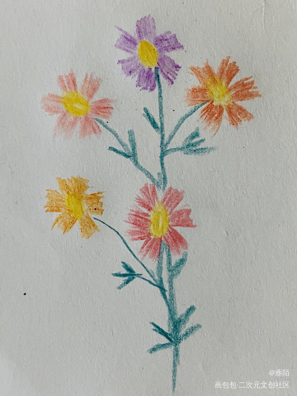 Day 5 练笔第五天_铅笔绘画作品
