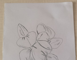 花花_绘画作品