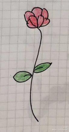 花_手绘绘画作品
