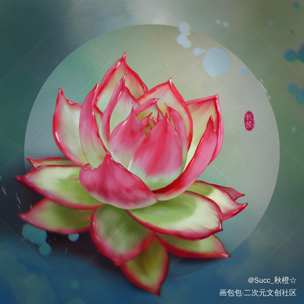 春日多肉第五弹_procreate摸鱼绘画作品