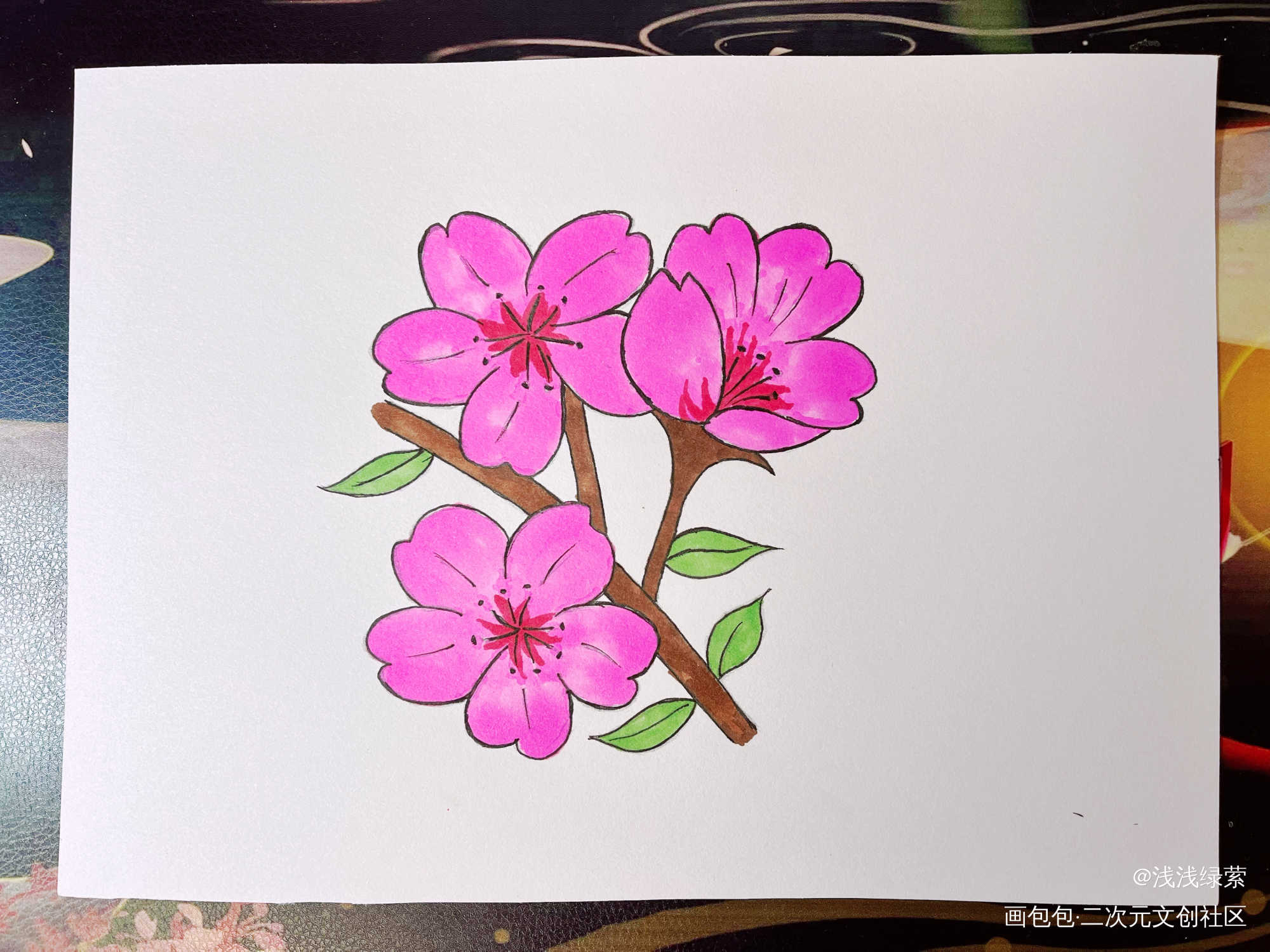 桜_手绘绘画作品