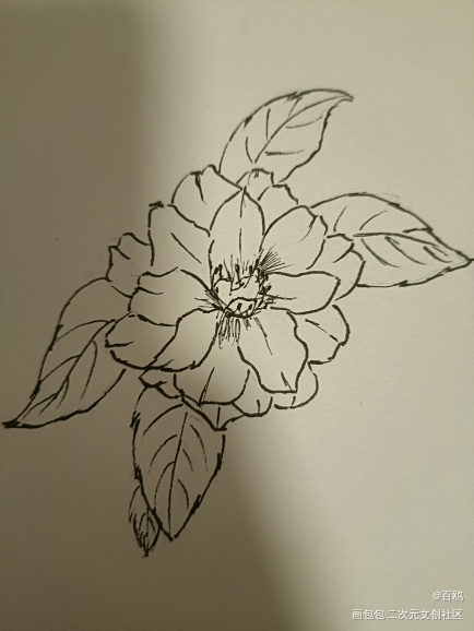 临摹_唤醒春日主题打卡绘画作品