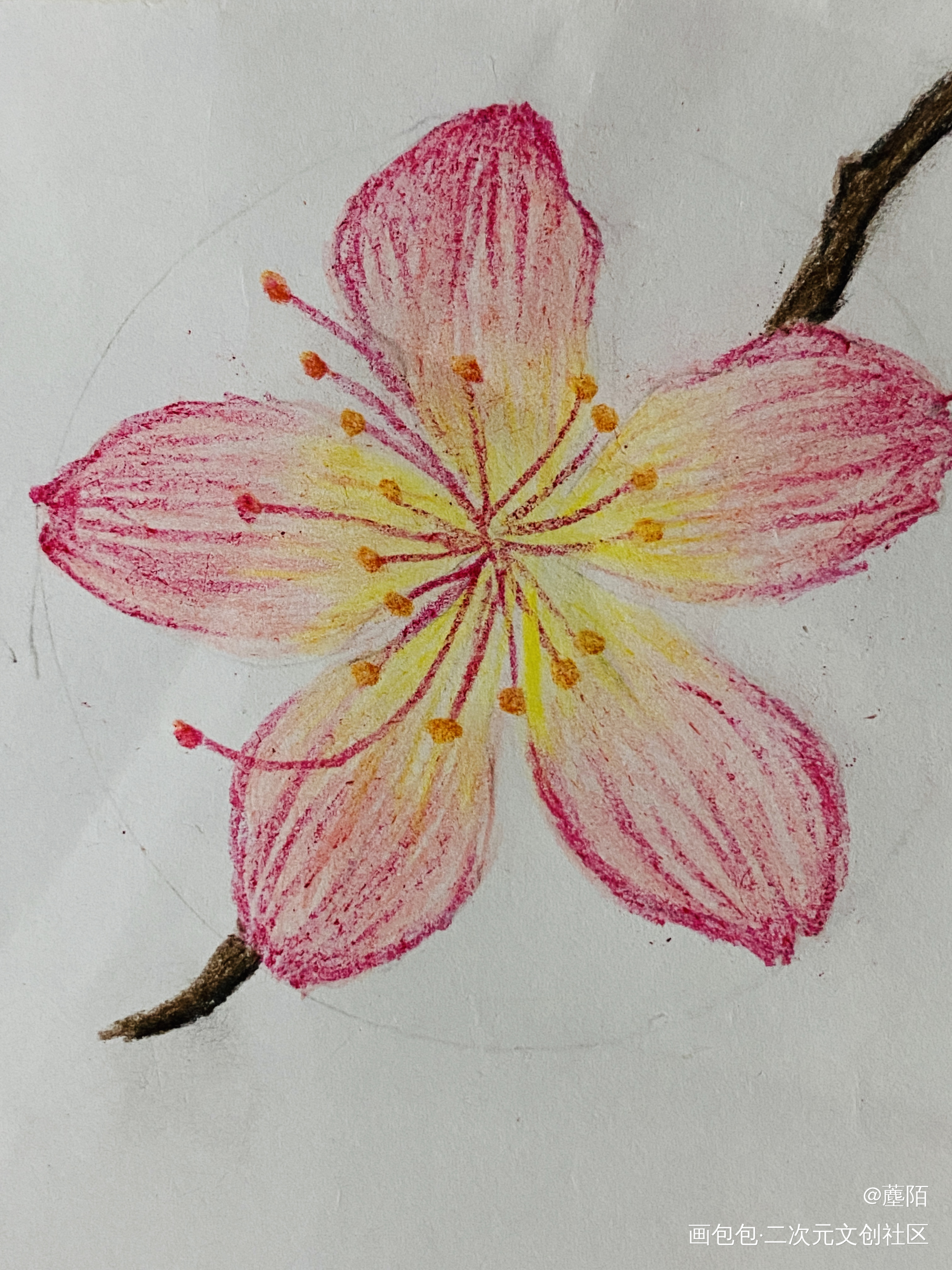 Day 4 练笔第四天_铅笔绘画作品