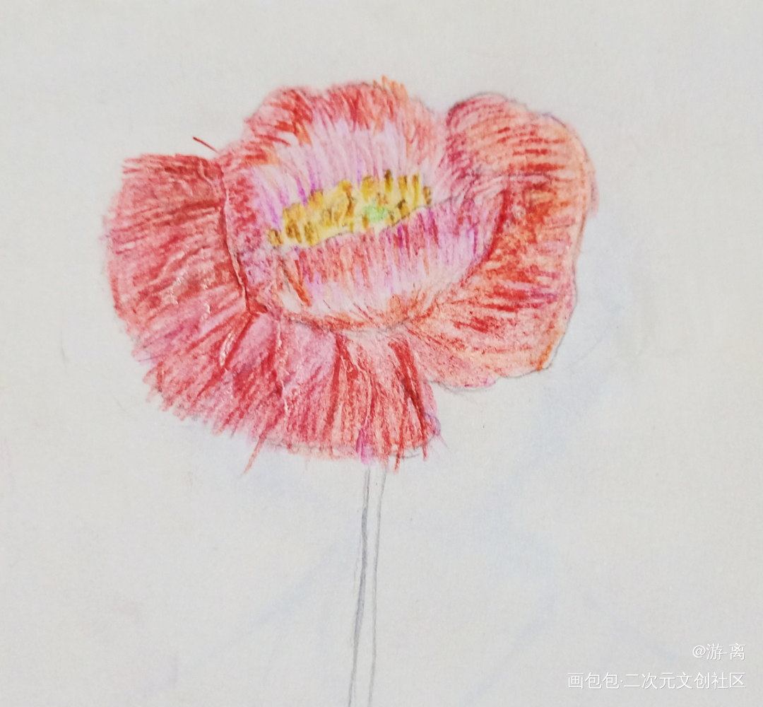 Day4_手绘绘画作品