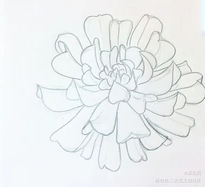春日的花_黑白简笔绘画作品