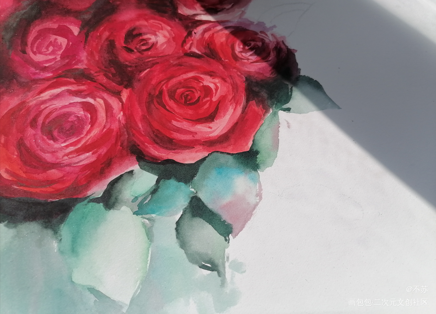 _手绘水彩玫瑰春天绘画作品
