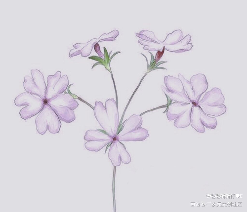 打卡_手绘绘画作品