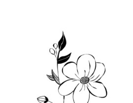 花_绘画作品